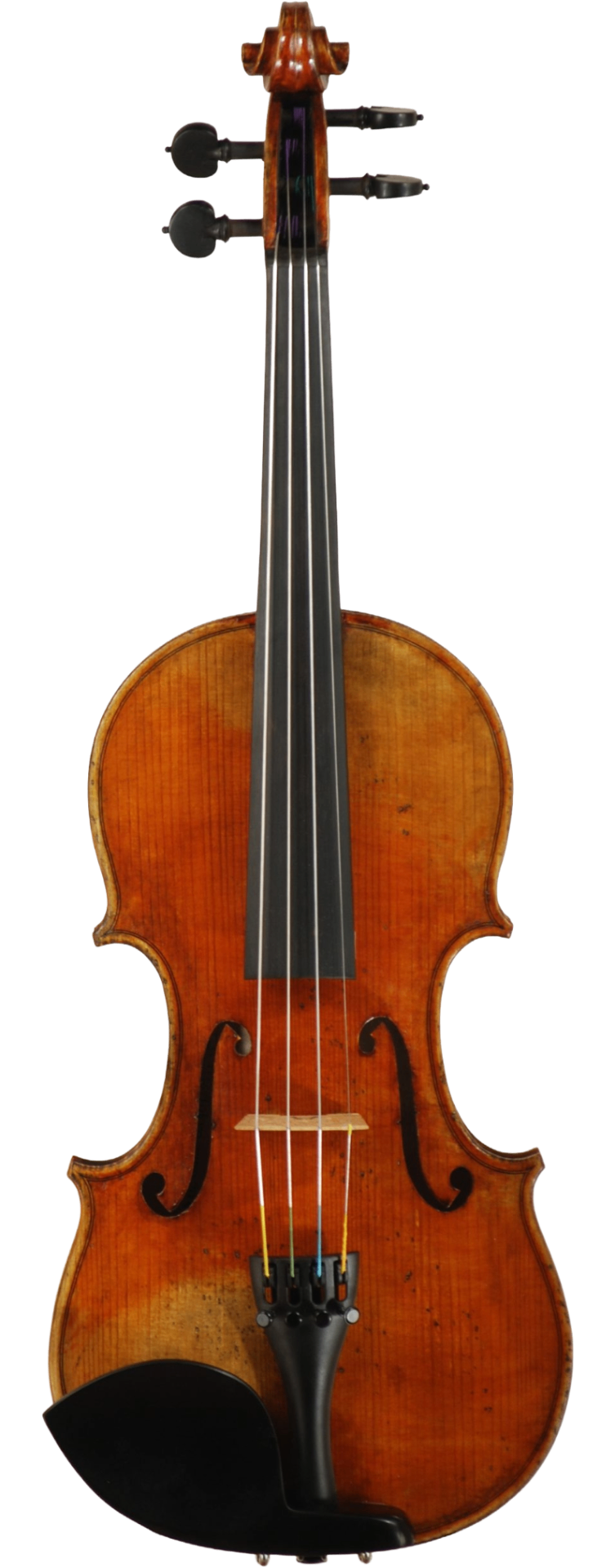 BWL Music String Instruments | Violins, Violas, Cellos | Savannah, GA