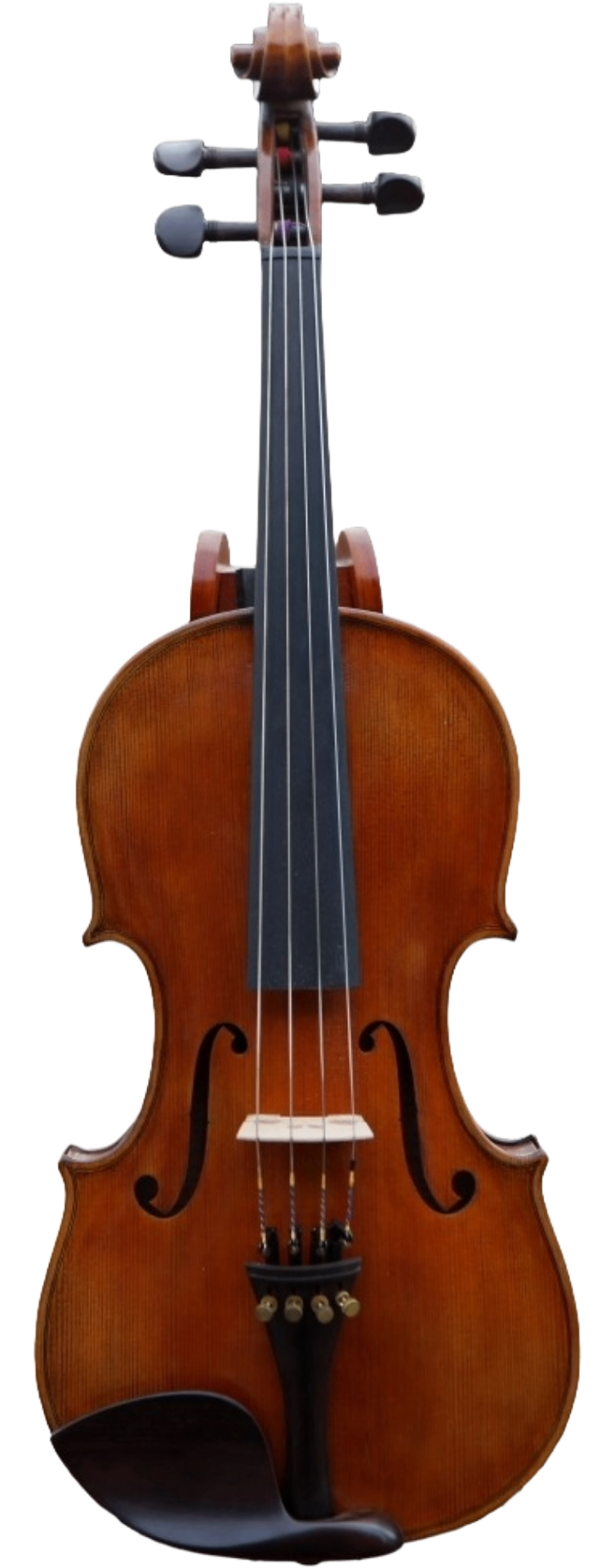 Bw Musical Instruments BWL Music String Instruments | Violins, Violas, Cellos | Savannah, GA